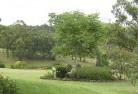 Ringtail Creekresidential-landscaping-40.jpg; ?>